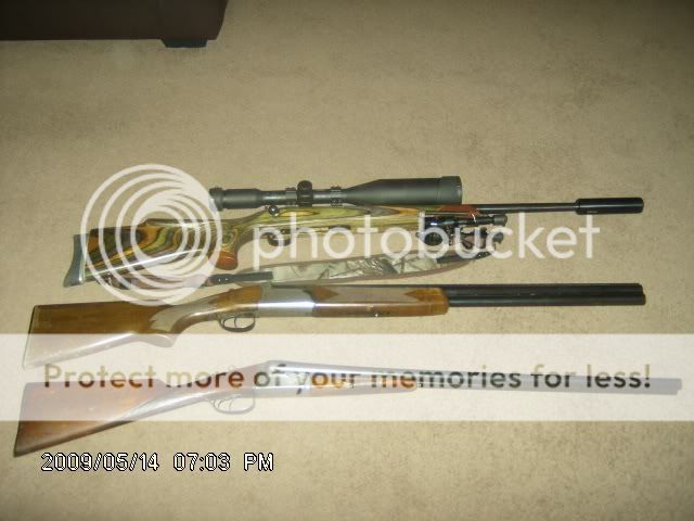guns001.jpg