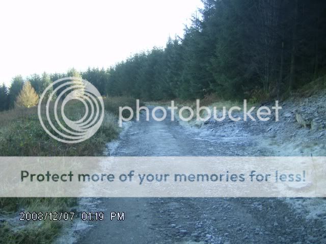 003-1.jpg