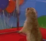 thawesome1.gif