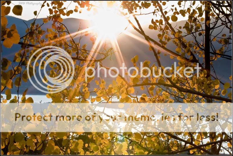 IMAGE: http://i315.photobucket.com/albums/ll479/j-blake/MU%20365%20Days%20of%20Photography/IMG_4129-as-Smart-Object-1.jpg