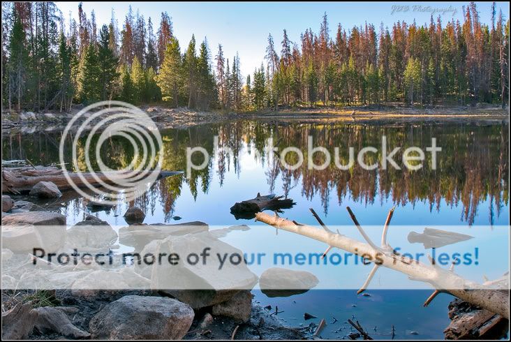 IMAGE: http://i315.photobucket.com/albums/ll479/j-blake/MU%20365%20Days%20of%20Photography/IMG_4341-Edit-2.jpg