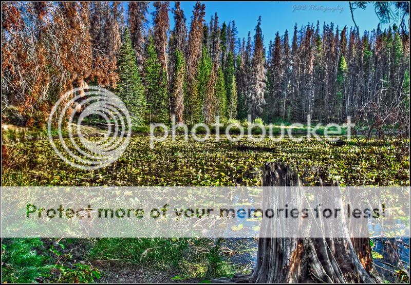 IMAGE: http://i315.photobucket.com/albums/ll479/j-blake/MU%20365%20Days%20of%20Photography/IMG_4367-Edit-as-Smart-Object-1.jpg