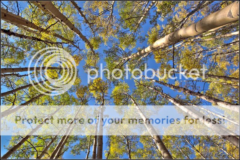 IMAGE: http://i315.photobucket.com/albums/ll479/j-blake/MU%20365%20Days%20of%20Photography/IMG_4384-Edit-as-Smart-Object-1.jpg