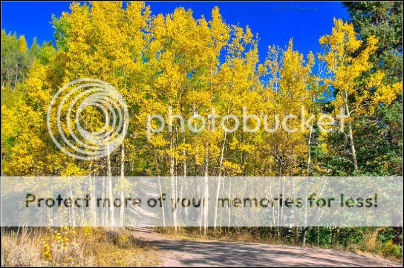 IMAGE: http://i315.photobucket.com/albums/ll479/j-blake/MU%20365%20Days%20of%20Photography/IMG_4399-Edit-as-Smart-Object-1.jpg