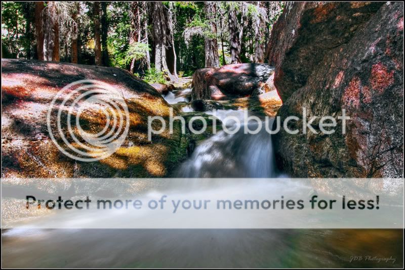 IMAGE: http://i315.photobucket.com/albums/ll479/j-blake/MU%20365%20Days%20of%20Photography/IMG_4509-Edit-Edit.jpg