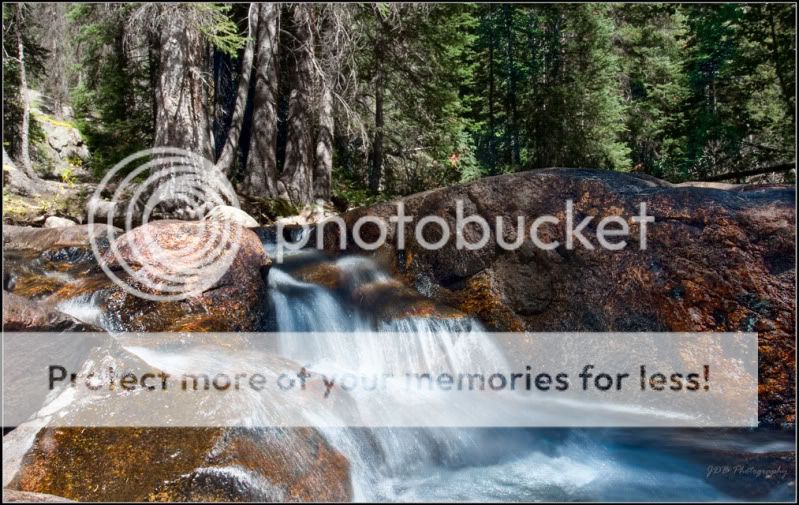 IMAGE: http://i315.photobucket.com/albums/ll479/j-blake/MU%20365%20Days%20of%20Photography/IMG_4521-Edit.jpg