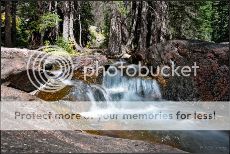 IMAGE: http://i315.photobucket.com/albums/ll479/j-blake/MU%20365%20Days%20of%20Photography/IMG_4526-Edit.jpg