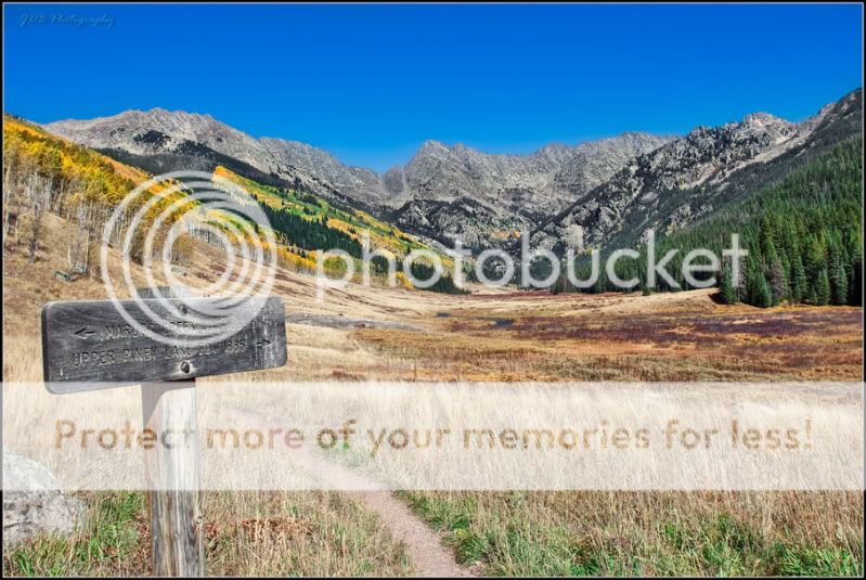 IMAGE: http://i315.photobucket.com/albums/ll479/j-blake/MU%20365%20Days%20of%20Photography/IMG_4551-Edit-2.jpg