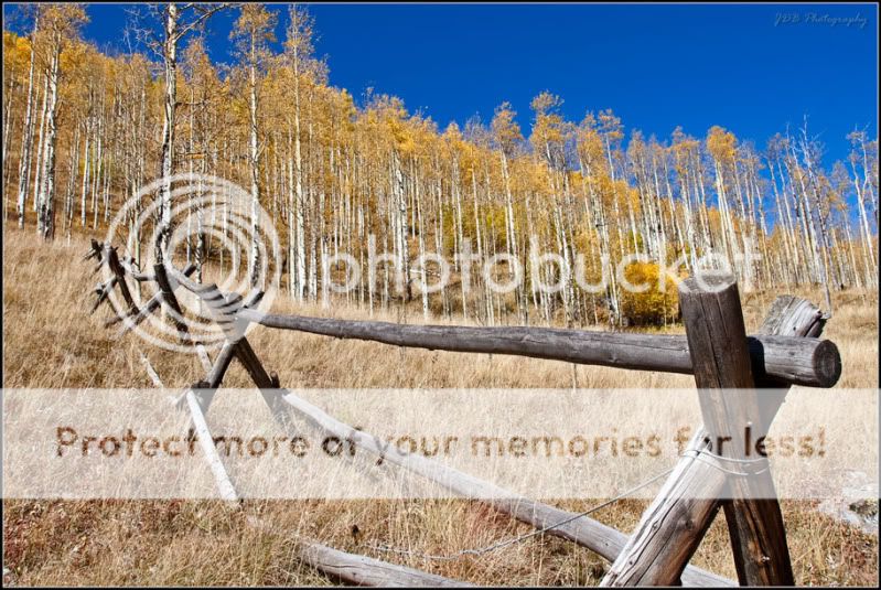 IMAGE: http://i315.photobucket.com/albums/ll479/j-blake/MU%20365%20Days%20of%20Photography/IMG_4552-Edit-2.jpg