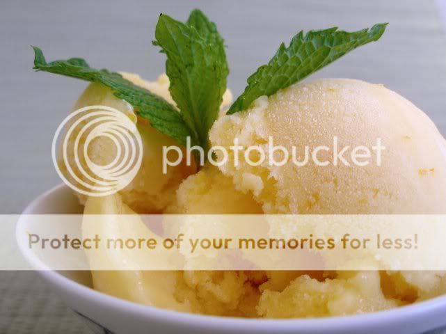 orange-mango_sorbet.jpg Mango Ice Cream image by jpinedaiii